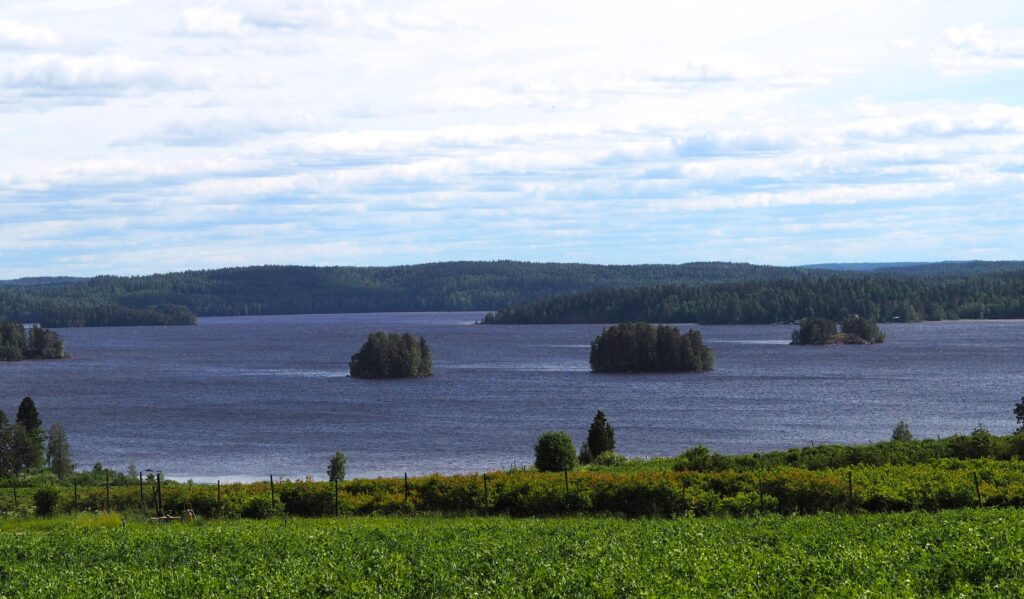 Järvimaisema Mahnalan selälle. Etualalla marjatilan pensaita.